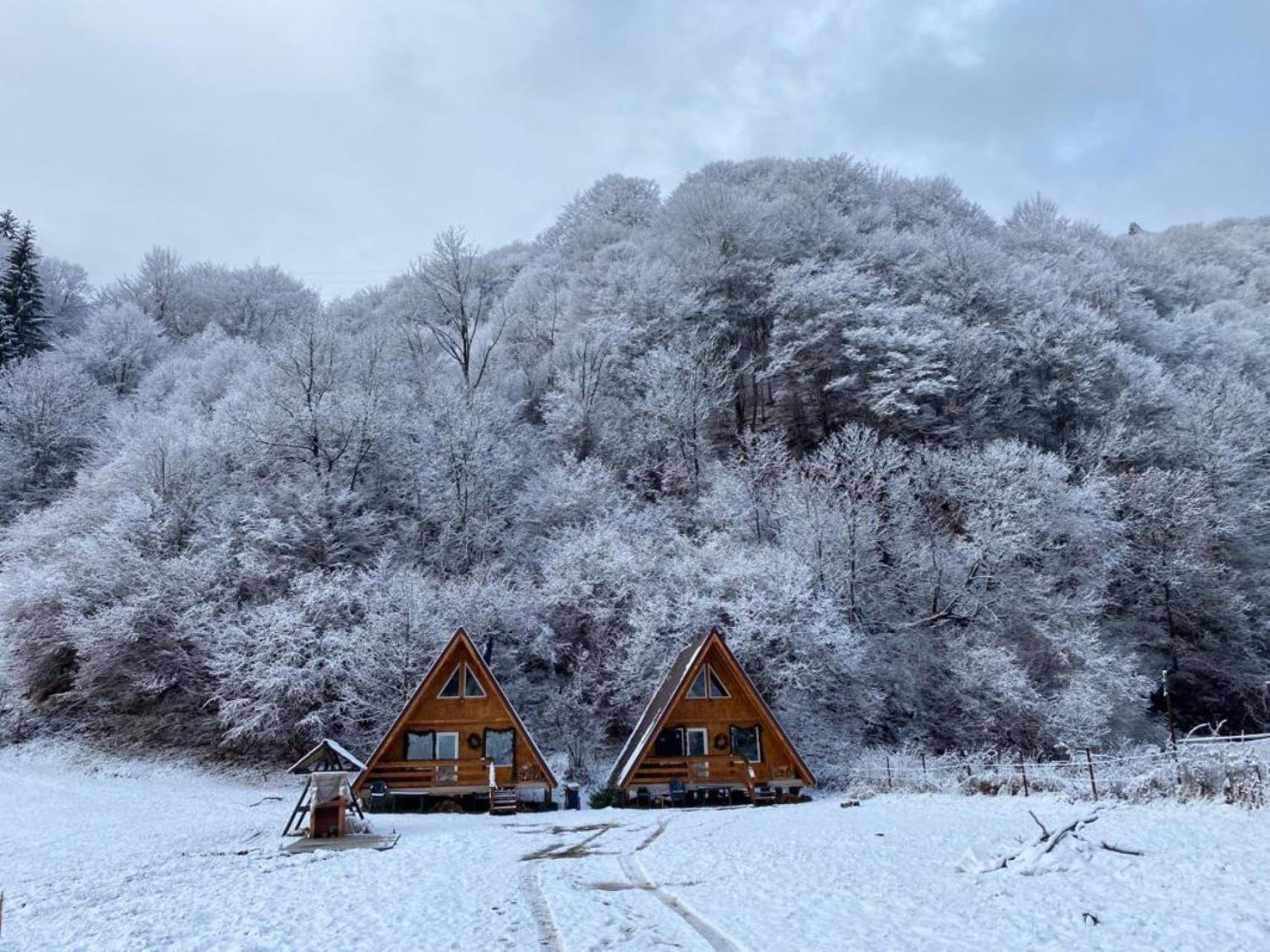 Cabanutze Satic Villa Rucăr Екстериор снимка