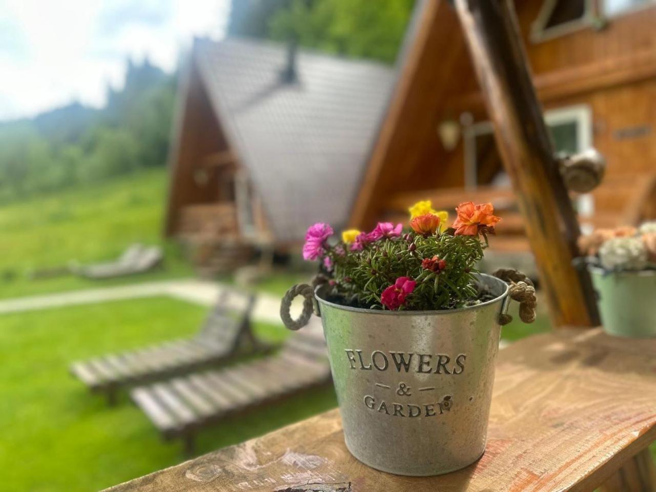 Cabanutze Satic Villa Rucăr Екстериор снимка