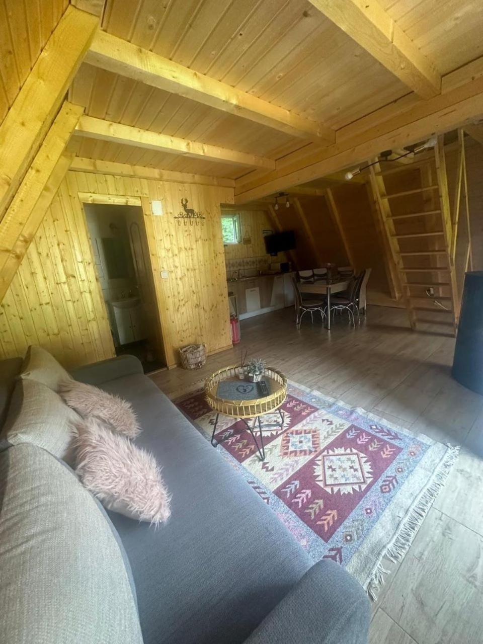 Cabanutze Satic Villa Rucăr Екстериор снимка