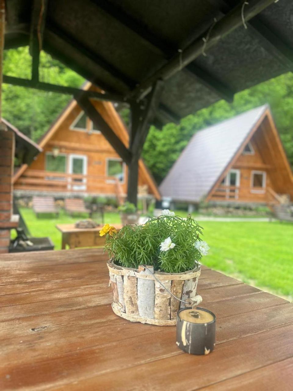 Cabanutze Satic Villa Rucăr Екстериор снимка