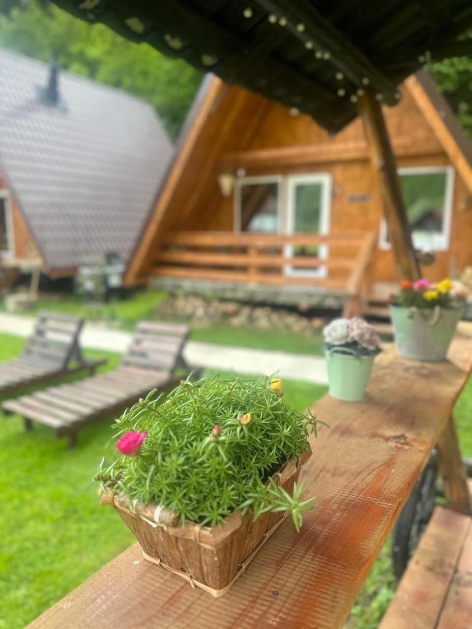 Cabanutze Satic Villa Rucăr Екстериор снимка