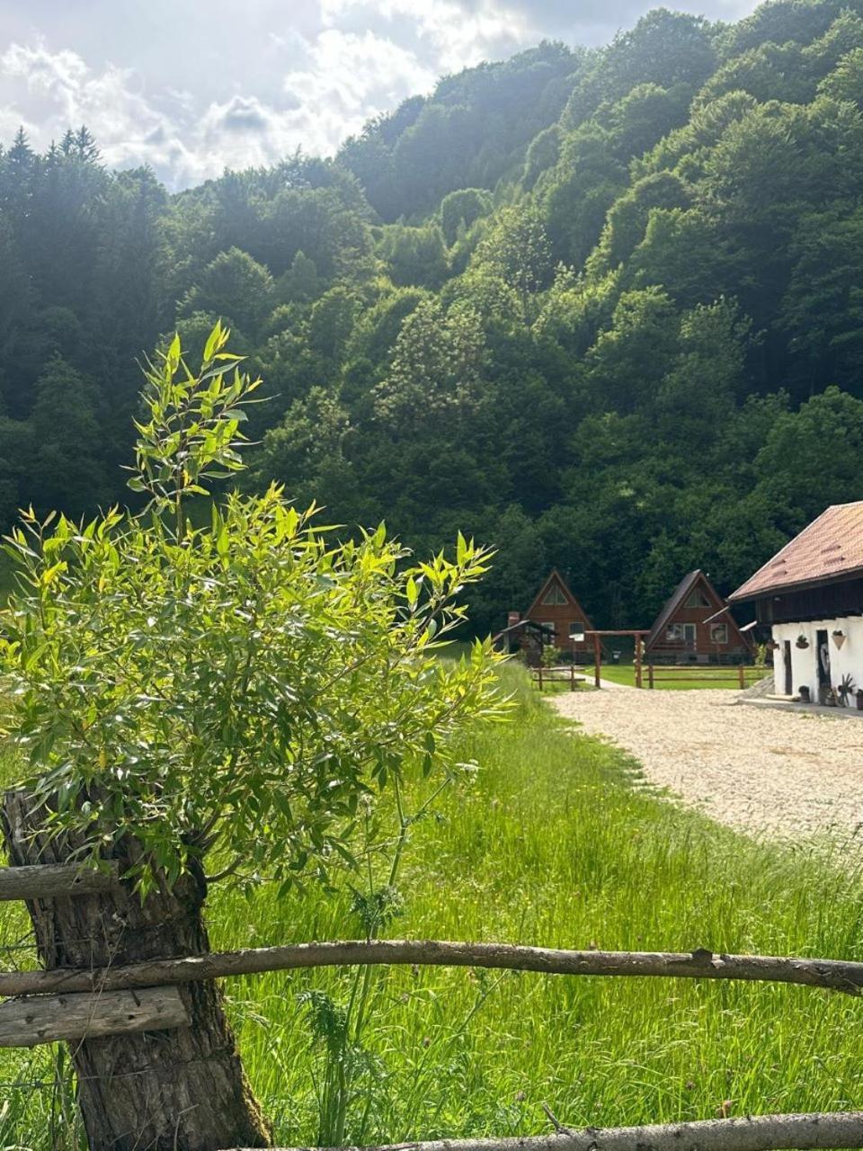 Cabanutze Satic Villa Rucăr Екстериор снимка
