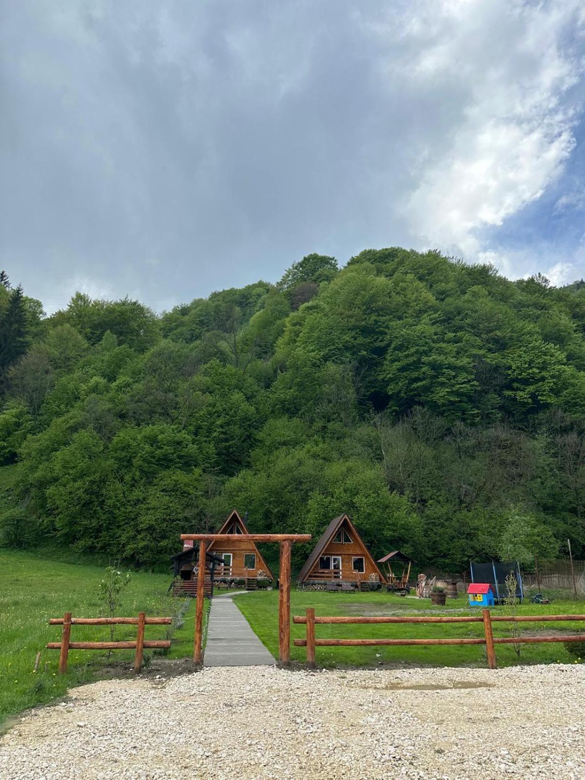 Cabanutze Satic Villa Rucăr Екстериор снимка