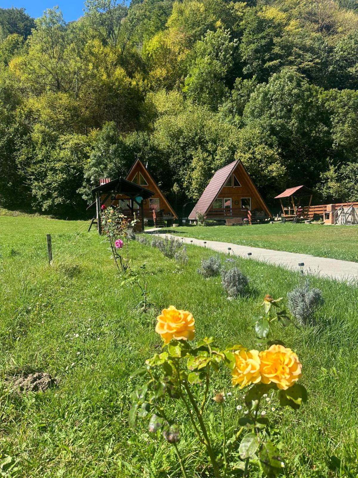 Cabanutze Satic Villa Rucăr Екстериор снимка